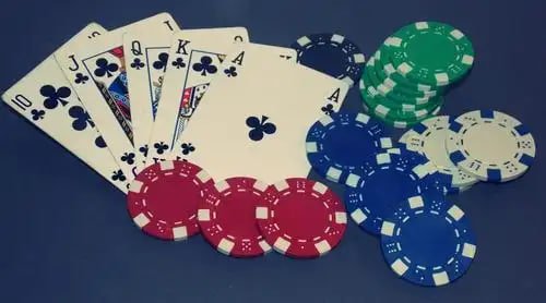333bet com app